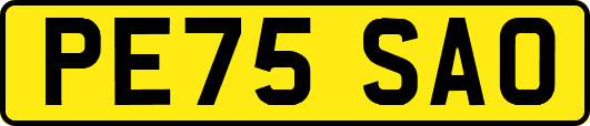 PE75SAO