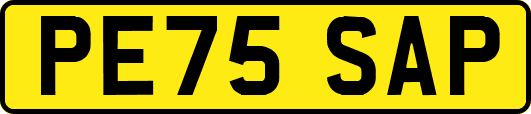 PE75SAP