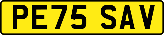 PE75SAV