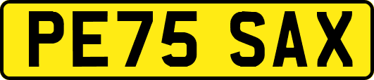 PE75SAX