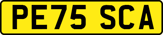 PE75SCA