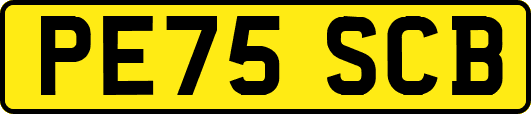 PE75SCB