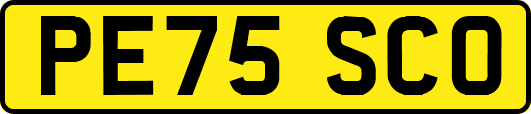 PE75SCO