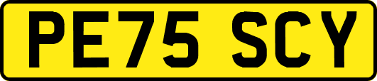 PE75SCY