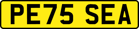PE75SEA