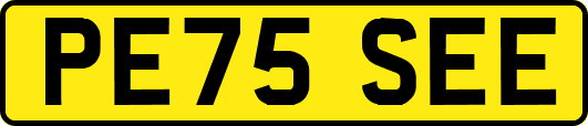 PE75SEE