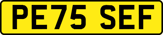 PE75SEF