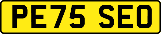 PE75SEO