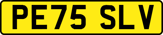 PE75SLV
