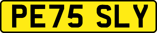 PE75SLY