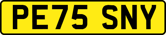 PE75SNY