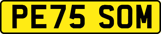 PE75SOM
