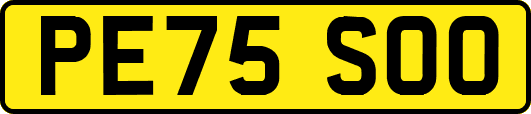 PE75SOO