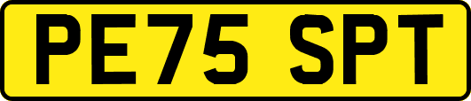 PE75SPT