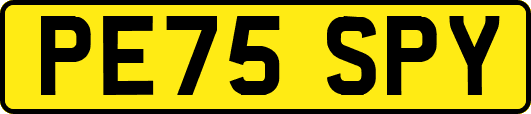PE75SPY