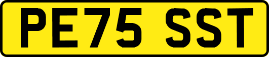 PE75SST