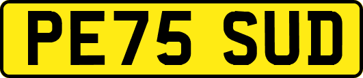 PE75SUD