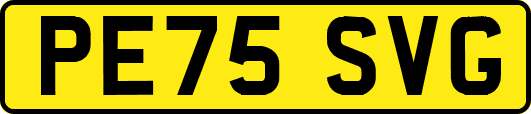PE75SVG