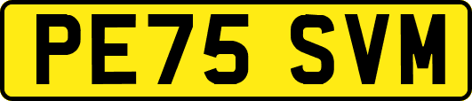 PE75SVM