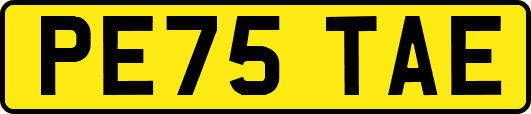 PE75TAE