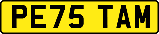 PE75TAM