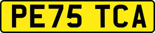 PE75TCA