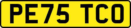 PE75TCO