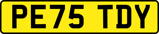 PE75TDY