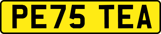 PE75TEA