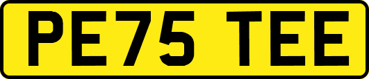 PE75TEE