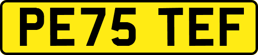 PE75TEF