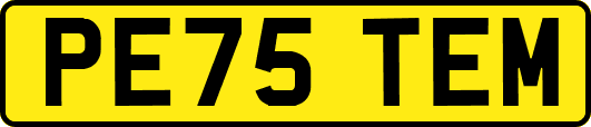 PE75TEM
