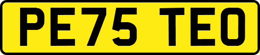PE75TEO