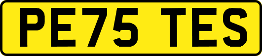 PE75TES