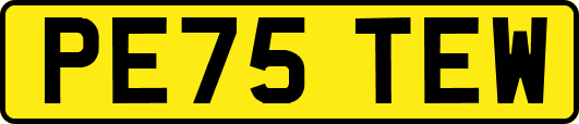PE75TEW