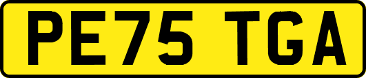 PE75TGA