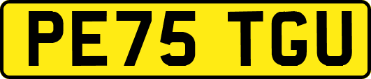 PE75TGU