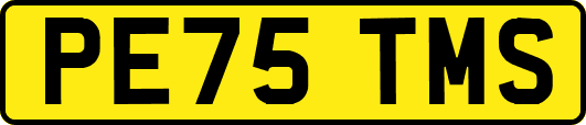 PE75TMS