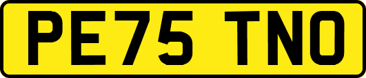 PE75TNO