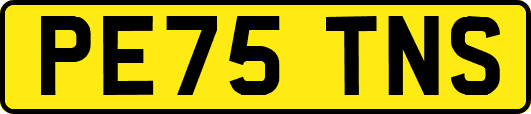 PE75TNS