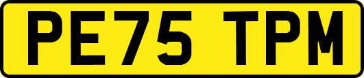 PE75TPM