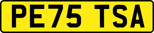 PE75TSA
