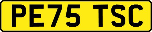 PE75TSC