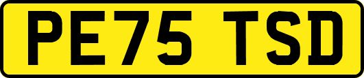 PE75TSD