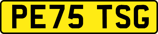 PE75TSG