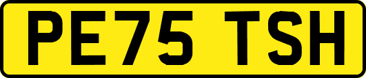PE75TSH