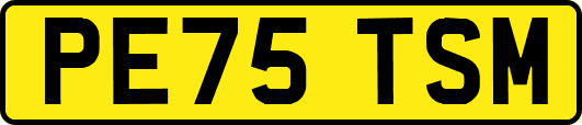 PE75TSM