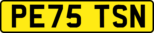 PE75TSN