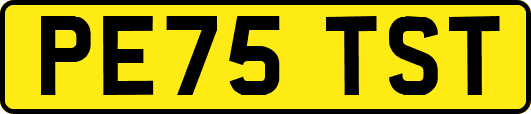 PE75TST