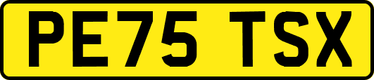PE75TSX